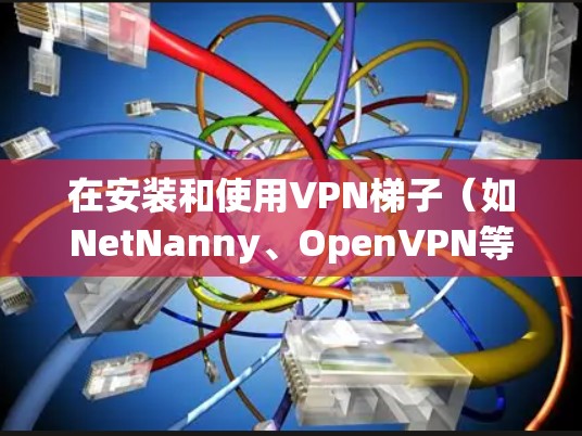 在安装和使用VPN梯子（如NetNanny、OpenVPN等）时，以下是一些详细的步骤指南