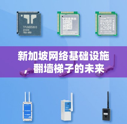 新加坡网络基础设施，翻墙梯子的未来