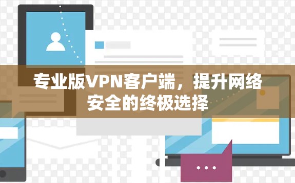 专业版VPN客户端，提升网络安全的终极选择