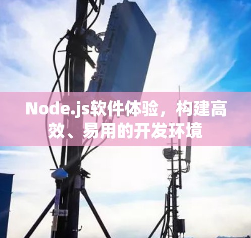 Node.js软件体验,构建高效、易用的开发环境 Node.js软件体验,构建高效、易用的开发环境