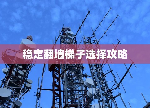 稳定翻墙梯子选择攻略 稳定翻墙梯子选择攻略