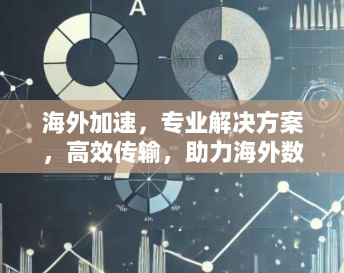 海外加速，专业解决方案，高效传输，助力海外数据传输