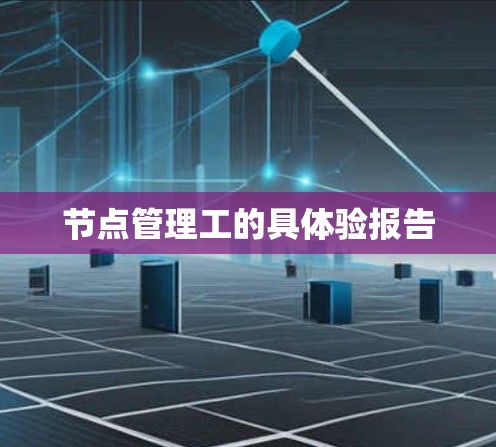 节点管理工的具体验报告
