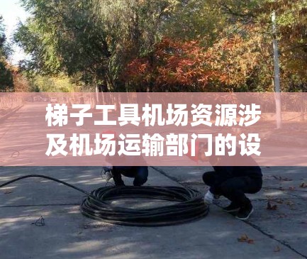 梯子工具机场资源涉及机场运输部门的设备、技术、运营和管理等多个方面。以下是详细的分析和建议
