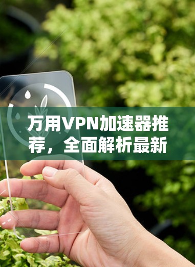 万用VPN加速器推荐,全面解析最新版本性能 万用VPN加速器推荐,全面解析最新版本性能