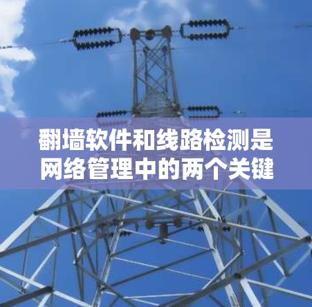 翻墙软件和线路检测是网络管理中的两个关键领域，它们各自专注于不同的目标。以下是对这两个领域的详细分析和总结