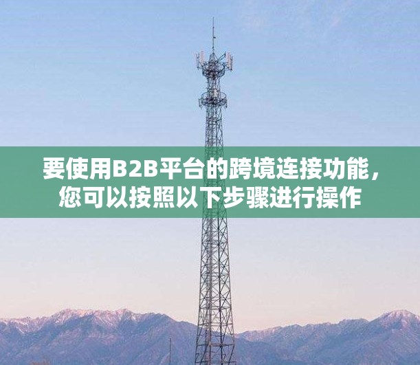 要使用B2B平台的跨境连接功能，您可以按照以下步骤进行操作