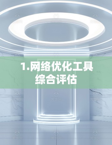 1.网络优化工具综合评估