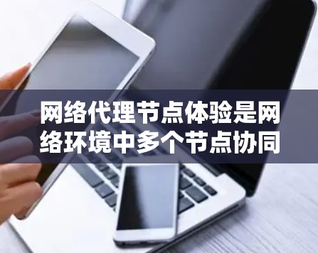 网络代理节点体验是网络环境中多个节点协同工作时的表现，涉及连接、通信、处理请求、安全等多个方面。以下是对这一主题的详细总结和扩展