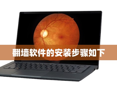 翻墙软件的安装步骤如下