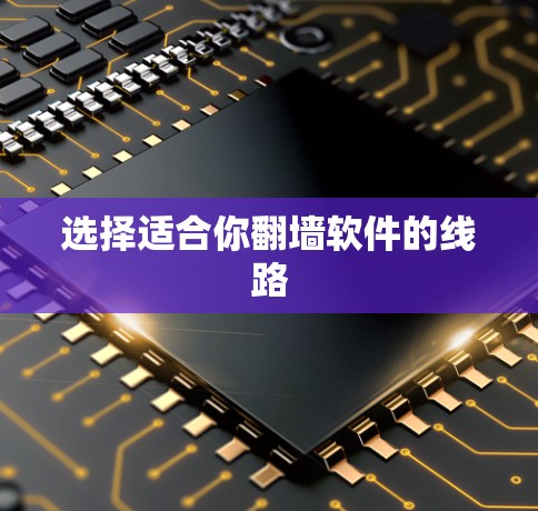 选择适合你翻墙软件的线路