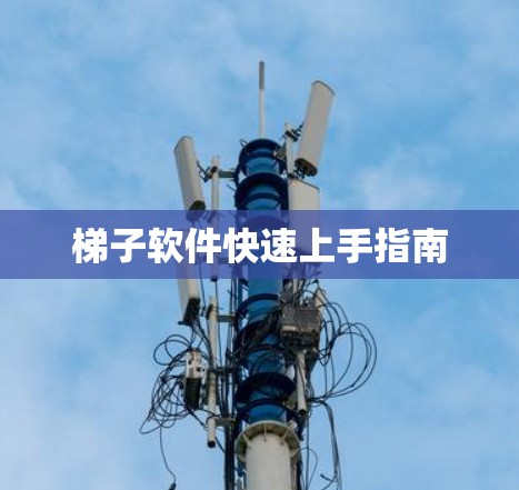 梯子软件快速上手指南
