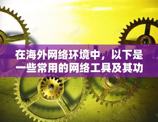 在海外网络环境中，以下是一些常用的网络工具及其功能比较，帮助您选择最适合的工具