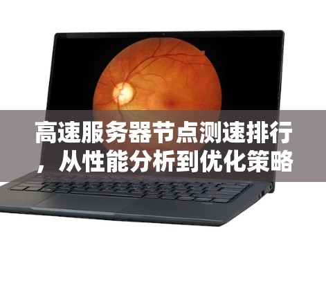 高速服务器节点测速排行，从性能分析到优化策略