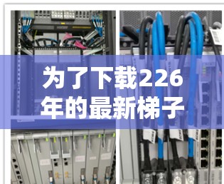 为了下载226年的最新梯子软件，可以按照以下步骤进行
