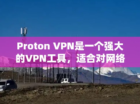 Proton VPN是一个强大的VPN工具，适合对网络安全和隐私要求较高的用户。以下是按照Windows系统配置Proton VPN的步骤