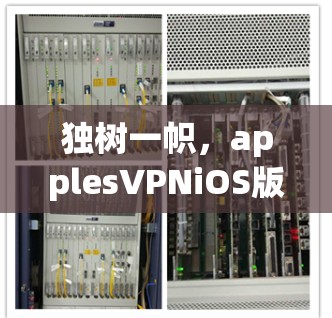 独树一帜，applesVPNiOS版如何轻松设置与使用