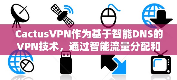 CactusVPN作为基于智能DNS的VPN技术，通过智能流量分配和实时监控，显著提升了网络效率和安全性。以下是对其功能详细说明的总结和深入学习方向