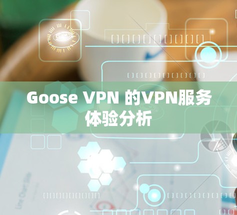 Goose VPN 的VPN服务体验分析 Goose VPN 的VPN服务体验分析