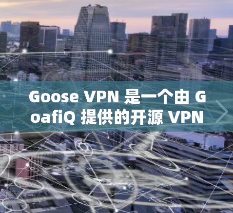 Goose VPN 是一个由 GoafiQ 提供的开源 VPN 服务,旨在提供安全、可靠的VPN连接。以下是关于 Goose VPN 的详细信息 Goose VPN 是一个由 GoafiQ 提供的开源 VPN 服务,旨在提供安全、可靠的VPN连接。以下是关于 Goose VPN 的详细信息