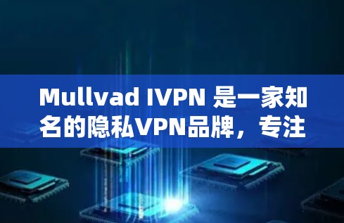 Mullvad IVPN 是一家知名的隐私VPN品牌,专注于提供安全、可靠的网络连接。以下是对 Mullvad IVPN 的安全性分析 Mullvad IVPN 是一家知名的隐私VPN品牌,专注于提供安全、可靠的网络连接。以下是对 Mullvad IVPN 的安全性分析