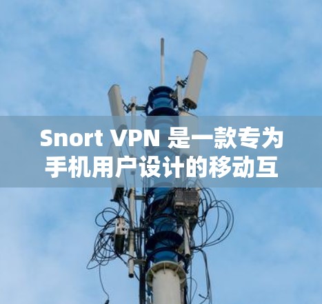 Snort VPN 是一款专为手机用户设计的移动互联网<strong>VPN软件</strong>，以其简洁的界面和全面的功能吸引着用户。以下是对其的评测