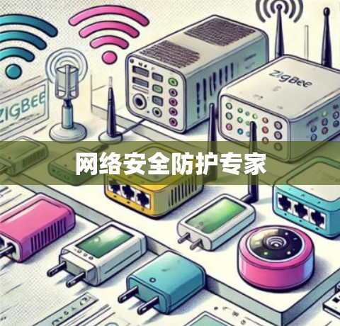 网络安全防护专家
