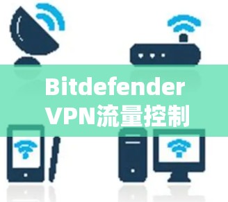 Bitdefender VPN流量控制，安全与高效