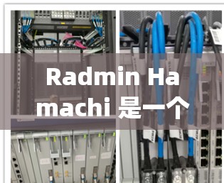 Radmin Hamachi 是一个基于 Rybo 的游戏联机VPN。它通过多设备联机、去中心化网络和交易透明化等技术，提供高效、安全和灵活的联机服务。以下是对其功能的详细比较