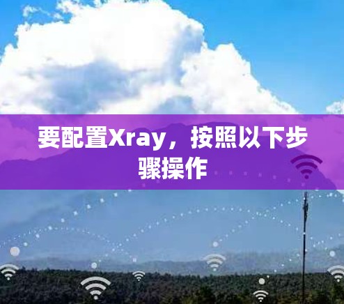 要配置Xray,按照以下步骤操作
