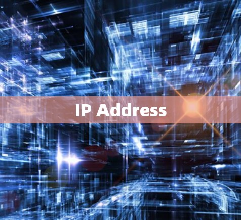 IP Address IP Address