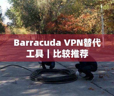 Barracuda VPN替代工具｜比较推荐