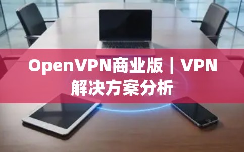OpenVPN商业版｜VPN解决方案分析
