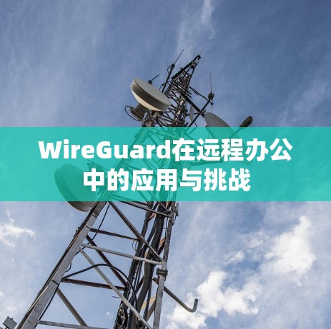WireGuard在远程办公中的应用与挑战