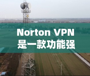 Norton VPN 是一款功能强大且操作简便的VPN服务，它结合了加密技术和即时反馈，满足了大部分用户对VPN的需求。以下是对 Norton VPN 的详细评测