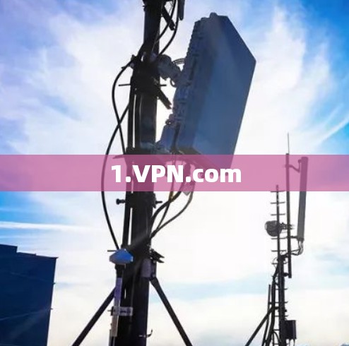 1.VPN.com