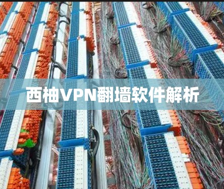 西柚VPN翻墙软件解析