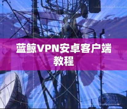 蓝鲸VPN安卓客户端教程