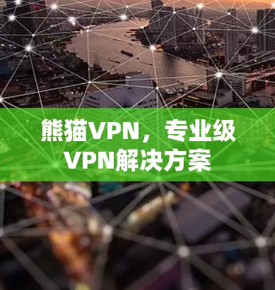 熊猫VPN,专业级VPN解决方案 熊猫VPN,专业级VPN解决方案