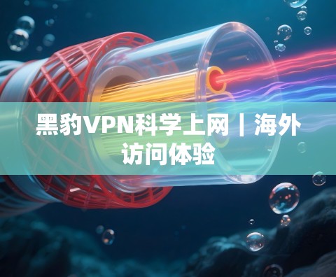 黑豹VPN科学上网｜海外访问体验