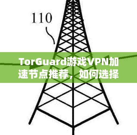 TorGuard游戏VPN加速节点推荐，如何选择最优解