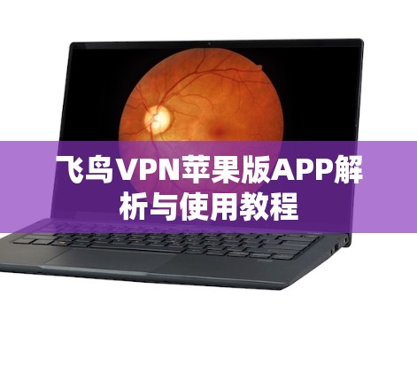 飞鸟VPN苹果版APP解析与使用教程