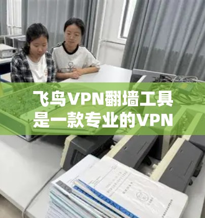 飞鸟VPN翻墙工具是一款专业的VPN服务，主要功能包括加密传输、多语言支持以及翻墙功能。以下是对其功能的详细解析