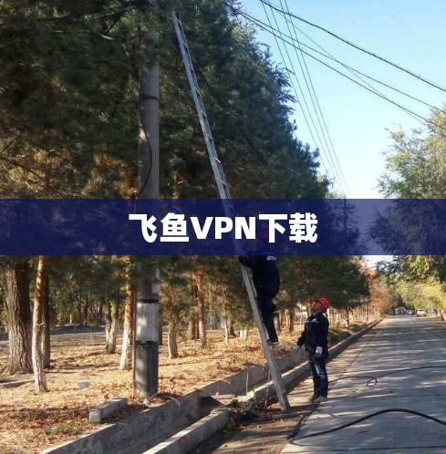 飞鱼VPN下载