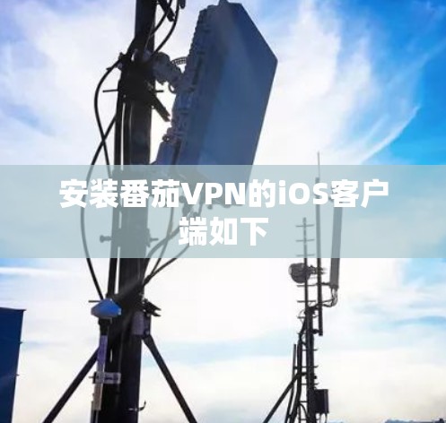 安装番茄VPN的iOS客户端如下