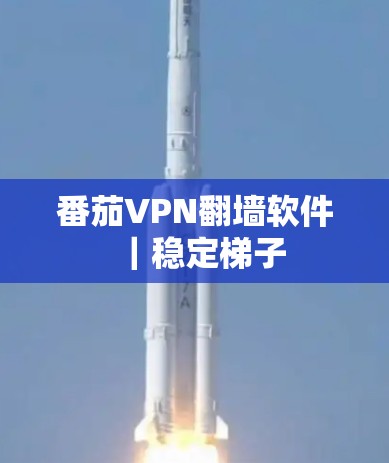 番茄VPN翻墙软件｜稳定梯子