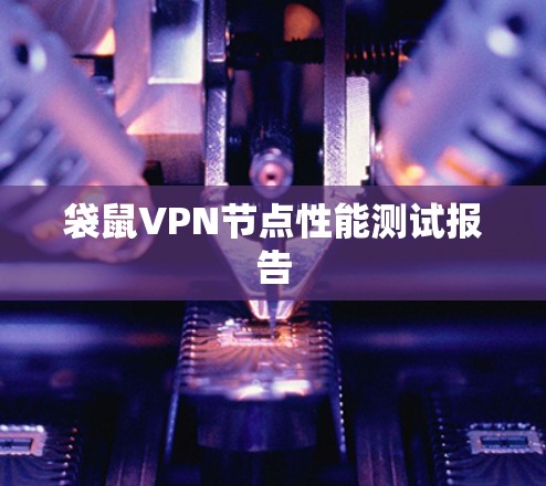 袋鼠VPN节点性能测试报告