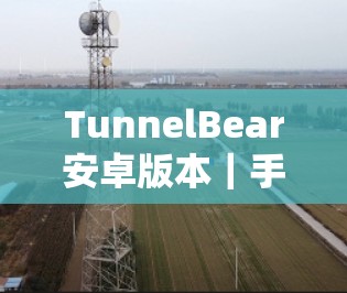 TunnelBear安卓版本｜手机VPN连接教程