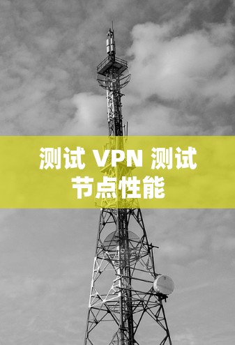 测试 VPN 测试节点性能