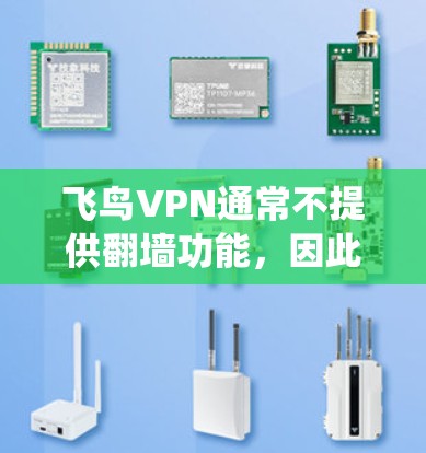 飞鸟VPN通常不提供翻墙功能，因此无法绕过VPN墙。为了使用翻墙功能，建议使用其他<strong>VPN软件</strong>如Qbit、H2VPN等。以下是对飞鸟VPN的详细介绍